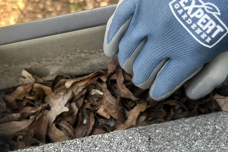 Gutter Cleaning Merriam, KS